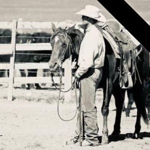 Meet your Posher, Dan